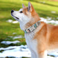 Nylon Printed Dog Personalized Collar