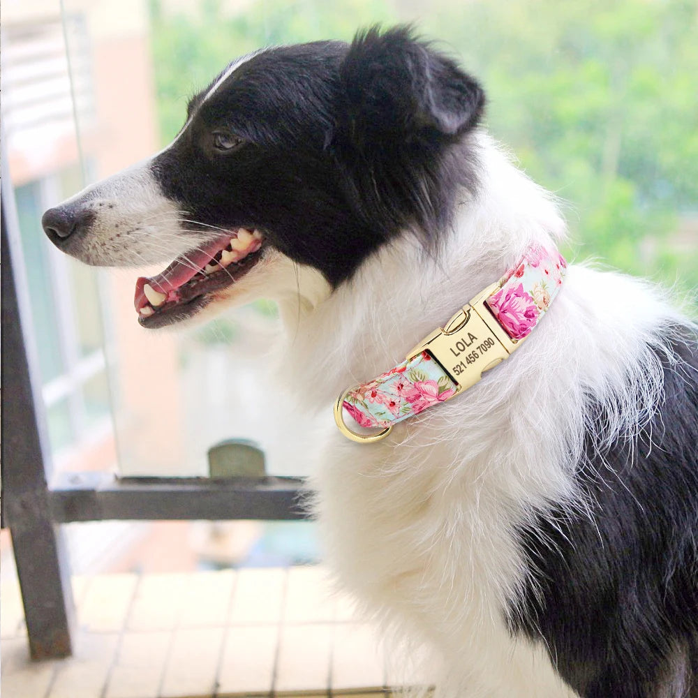 Nylon Printed Dog Personalized Collar